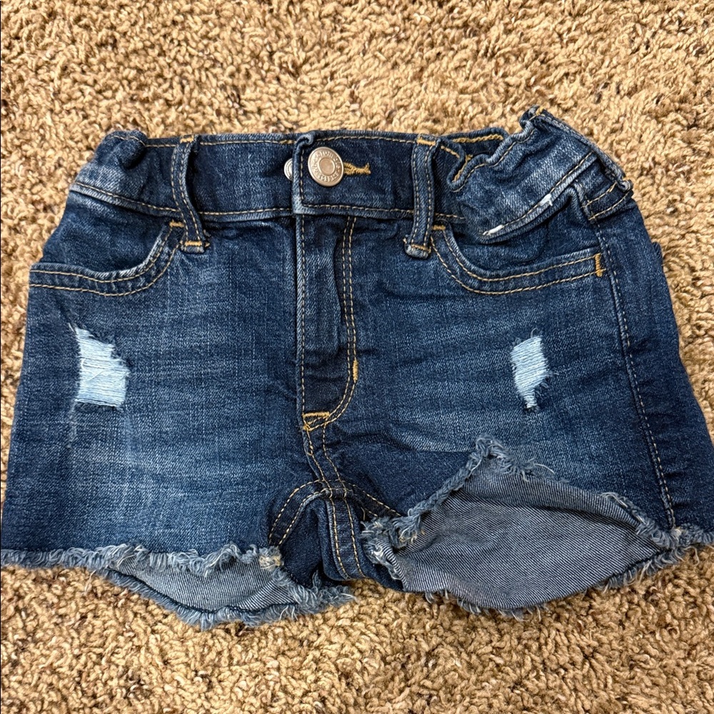 Abercrombie kids girls 5/6 shorts